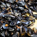La Fattoria Sul Mare 호텔