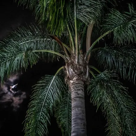 La Fattoria Sul Mare