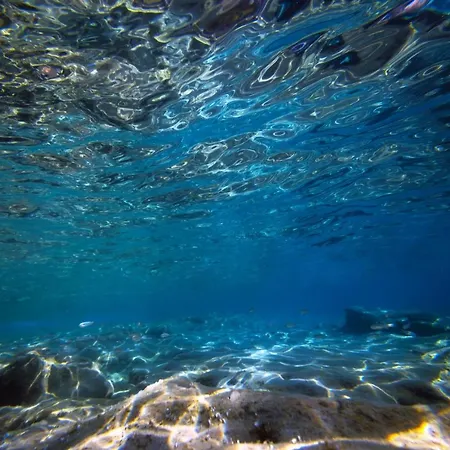 Szálloda La Fattoria Sul Mare Capo Vaticano