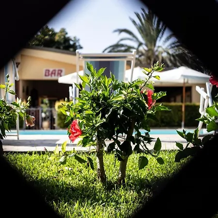 La Fattoria Sul Mare 2* Capo Vaticano