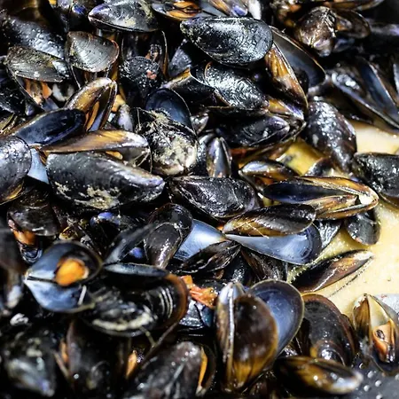 La Fattoria Sul Mare Szálloda