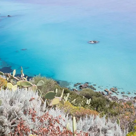 La Fattoria Sul Mare 2* Capo Vaticano