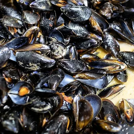 La Fattoria Sul Mare 호텔