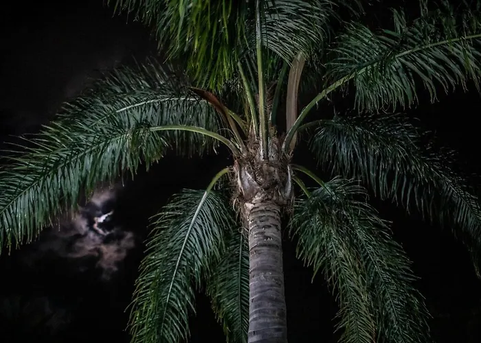 La Fattoria Sul Mare