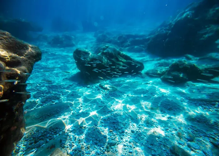 Hotel La Fattoria Sul Mare 3*